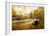 Autumn at Bow Bridge-Jessica Jenney-Framed Photographic Print