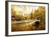 Autumn at Bow Bridge-Jessica Jenney-Framed Photographic Print