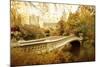 Autumn at Bow Bridge-Jessica Jenney-Mounted Photographic Print