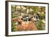 Autumn at Edith Creek Near Paradise Lodge, Mt. Rainier National Park, Wa, USA-Stuart Westmorland-Framed Photographic Print