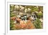 Autumn at Edith Creek Near Paradise Lodge, Mt. Rainier National Park, Wa, USA-Stuart Westmorland-Framed Photographic Print