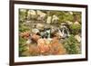 Autumn at Edith Creek Near Paradise Lodge, Mt. Rainier National Park, Wa, USA-Stuart Westmorland-Framed Photographic Print