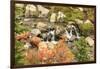 Autumn at Edith Creek Near Paradise Lodge, Mt. Rainier National Park, Wa, USA-Stuart Westmorland-Framed Photographic Print