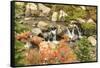 Autumn at Edith Creek Near Paradise Lodge, Mt. Rainier National Park, Wa, USA-Stuart Westmorland-Framed Stretched Canvas