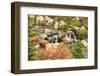 Autumn at Edith Creek Near Paradise Lodge, Mt. Rainier National Park, Wa, USA-Stuart Westmorland-Framed Photographic Print