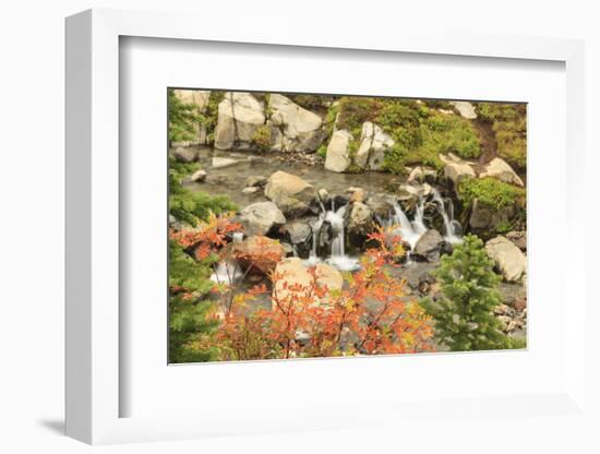 Autumn at Edith Creek Near Paradise Lodge, Mt. Rainier National Park, Wa, USA-Stuart Westmorland-Framed Photographic Print