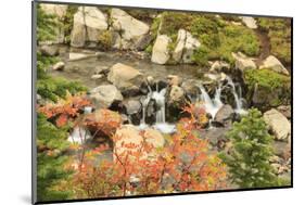 Autumn at Edith Creek Near Paradise Lodge, Mt. Rainier National Park, Wa, USA-Stuart Westmorland-Mounted Photographic Print