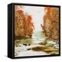 Autumn at Firemen's Park-Bruce Nawrocke-Framed Stretched Canvas