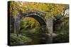 Autumn at Holne Bridge, Dartmoor, England-David Clapp-Stretched Canvas