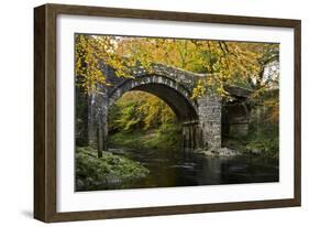 Autumn at Holne Bridge, Dartmoor, England-David Clapp-Framed Photographic Print