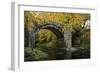 Autumn at Holne Bridge, Dartmoor, England-David Clapp-Framed Photographic Print