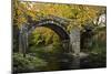 Autumn at Holne Bridge, Dartmoor, England-David Clapp-Mounted Photographic Print