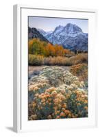 Autumn at June Lake Loop, Sierra Nevada-Vincent James-Framed Photographic Print