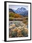 Autumn at June Lake Loop, Sierra Nevada-Vincent James-Framed Photographic Print