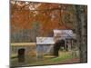 Autumn at Mabry Mill, Blue Ridge Parkway, Virginia, USA-Charles Gurche-Mounted Premium Photographic Print