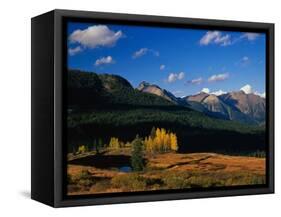 Autumn at Molas Divide-James Randklev-Framed Stretched Canvas