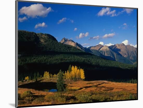 Autumn at Molas Divide-James Randklev-Mounted Photographic Print