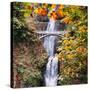 Autumn at Multnomah Falls, Square, Hood River, Columbia River Gorge, Oregon-Vincent James-Stretched Canvas