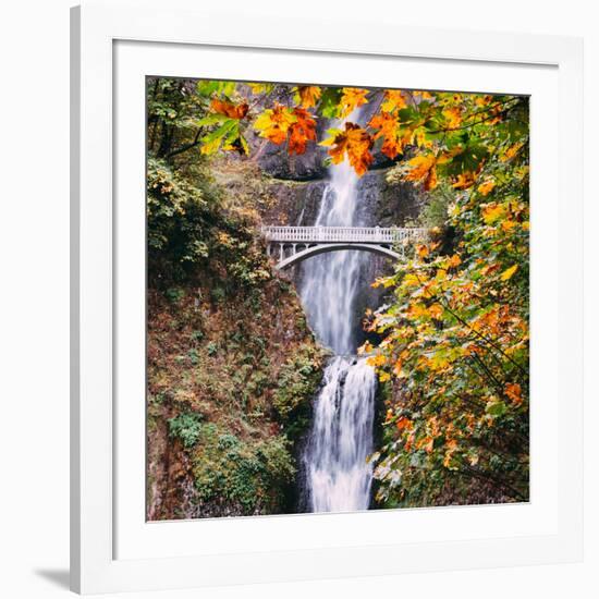 Autumn at Multnomah Falls, Square, Hood River, Columbia River Gorge, Oregon-Vincent James-Framed Photographic Print