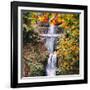 Autumn at Multnomah Falls, Square, Hood River, Columbia River Gorge, Oregon-Vincent James-Framed Photographic Print