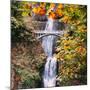 Autumn at Multnomah Falls, Square, Hood River, Columbia River Gorge, Oregon-Vincent James-Mounted Photographic Print