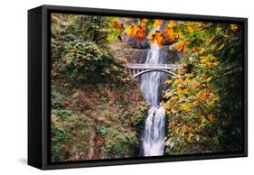 Autumn at Multnomah Falls Wide, Hood River, Columbia River Gorge, Oregon-Vincent James-Framed Stretched Canvas