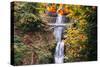 Autumn at Multnomah Falls Wide, Hood River, Columbia River Gorge, Oregon-Vincent James-Stretched Canvas