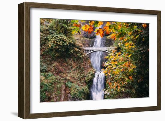 Autumn at Multnomah Falls Wide, Hood River, Columbia River Gorge, Oregon-Vincent James-Framed Photographic Print