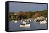 Autumn at New Harbor, Maine, USA-Michel Hersen-Framed Stretched Canvas