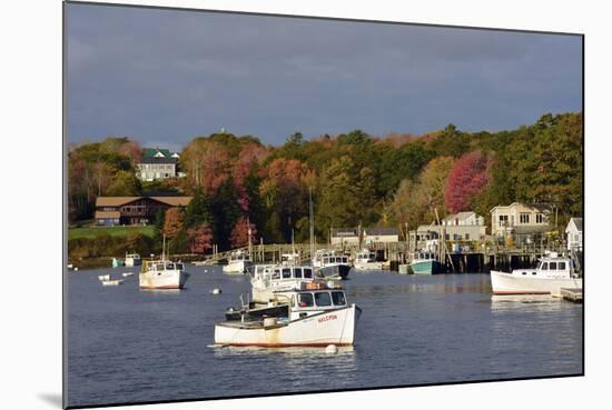 Autumn at New Harbor, Maine, USA-Michel Hersen-Mounted Photographic Print