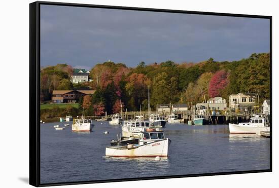 Autumn at New Harbor, Maine, USA-Michel Hersen-Framed Stretched Canvas