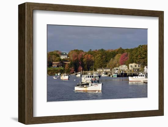 Autumn at New Harbor, Maine, USA-Michel Hersen-Framed Photographic Print