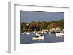 Autumn at New Harbor, Maine, USA-Michel Hersen-Framed Photographic Print