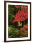 Autumn at Portland Japanese Garden, Portland, Oregon, USA-Michel Hersen-Framed Photographic Print