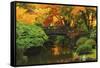 Autumn at Portland Japanese Garden, Portland, Oregon, USA-Michel Hersen-Framed Stretched Canvas