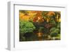 Autumn at Portland Japanese Garden, Portland, Oregon, USA-Michel Hersen-Framed Photographic Print