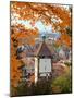 Autumn at Schlossberg, Schwabentor, Freiburg, Baden-Wurttemberg, Germany, Europe-Hans Peter Merten-Mounted Photographic Print