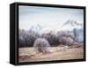 Autumn At the End-Peter Svoboda-Framed Stretched Canvas