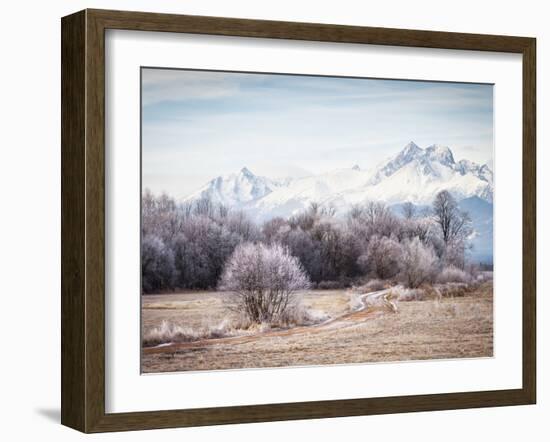 Autumn At the End-Peter Svoboda-Framed Photographic Print