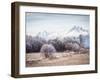 Autumn At the End-Peter Svoboda-Framed Photographic Print