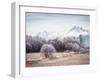 Autumn At the End-Peter Svoboda-Framed Photographic Print