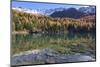 Autumn at the Lago Di Saoseo, Switzerland-Marco Isler-Mounted Photographic Print