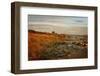 Autumn At The Mouth Of The Big Sable-Michelle Calkins-Framed Photo