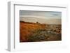 Autumn At The Mouth Of The Big Sable-Michelle Calkins-Framed Photo