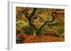 Autumn at the Portland Japanese Garden, Portland, Oregon, USA-Michel Hersen-Framed Photographic Print