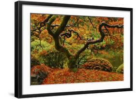 Autumn at the Portland Japanese Garden, Portland, Oregon, USA-Michel Hersen-Framed Photographic Print