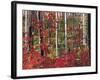 Autumn at the Santiam Pass, Oregon, USA-Michel Hersen-Framed Photographic Print