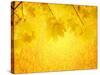 Autumn Background-frenta-Stretched Canvas