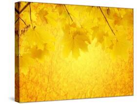 Autumn Background-frenta-Stretched Canvas