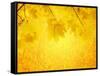 Autumn Background-frenta-Framed Stretched Canvas